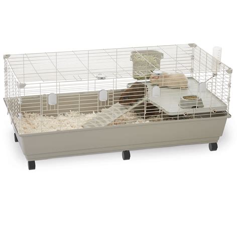 petsmart cages for small animals